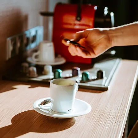 ホテル Galatea Mladá Boleslav